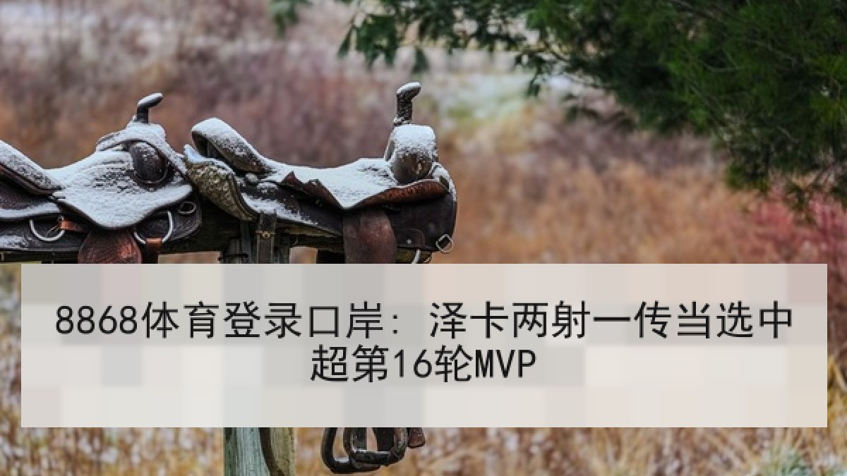 8868体育登录口岸: 泽卡两射一传当选中超第16轮MVP