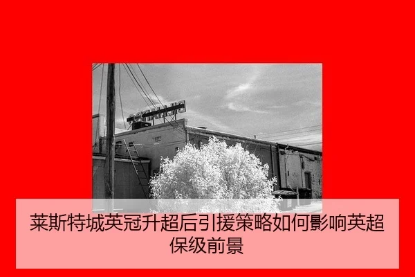 lai-si-te-cheng-ying-guan-sheng-chao-hou-yin-yuan-ce-lve-ru-he-ying-xiang-ying-chao-bao-ji-qian-jing-2-120.jpg